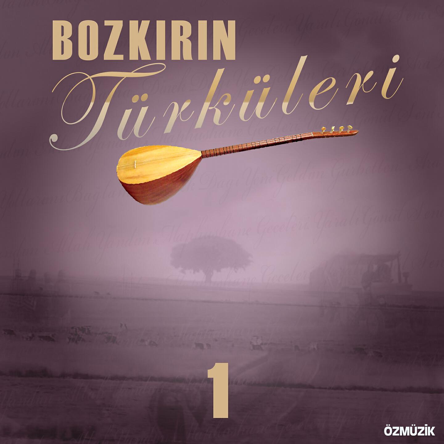 Mustafa Öksüz - Köprüden Geçti Gelin