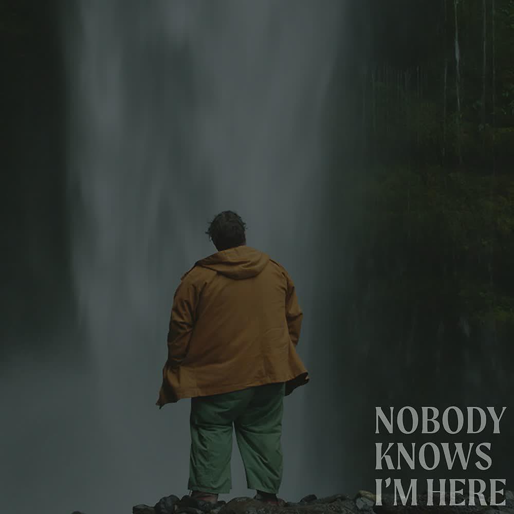 Постер альбома Nobody Knows I'm Here