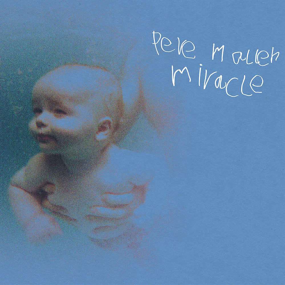 Pere Mallén - Gavina
