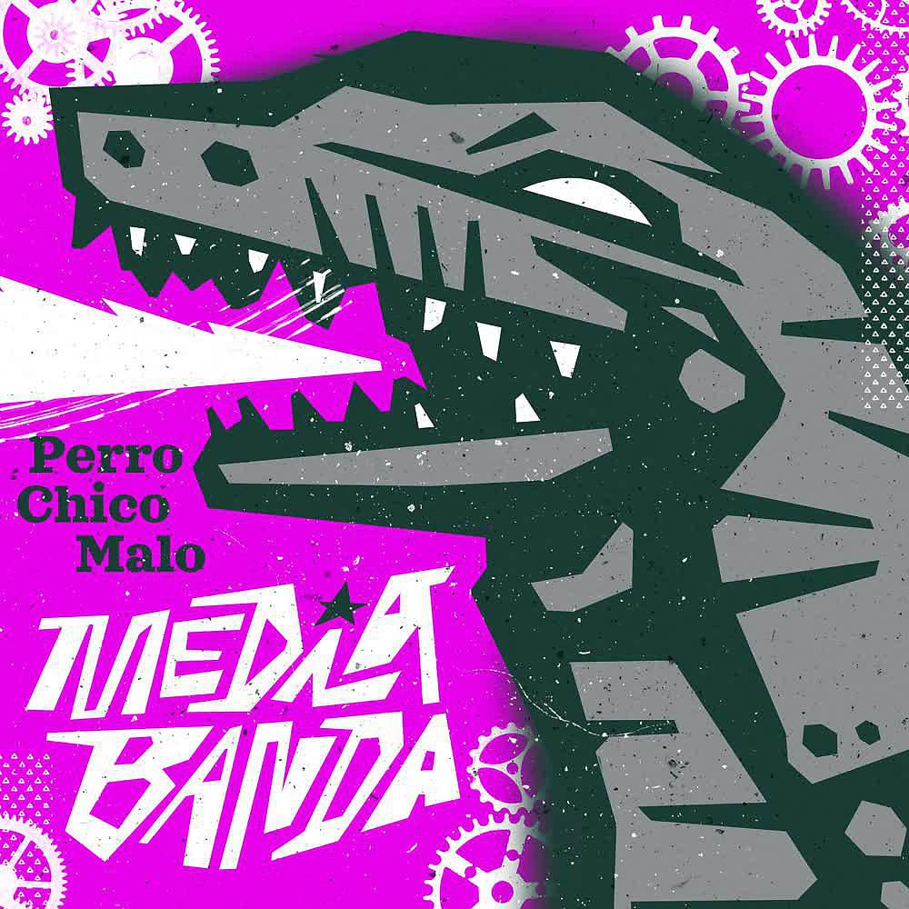 Постер альбома Perro Chico Malo