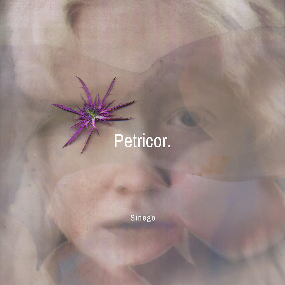 Sinego - Petricor