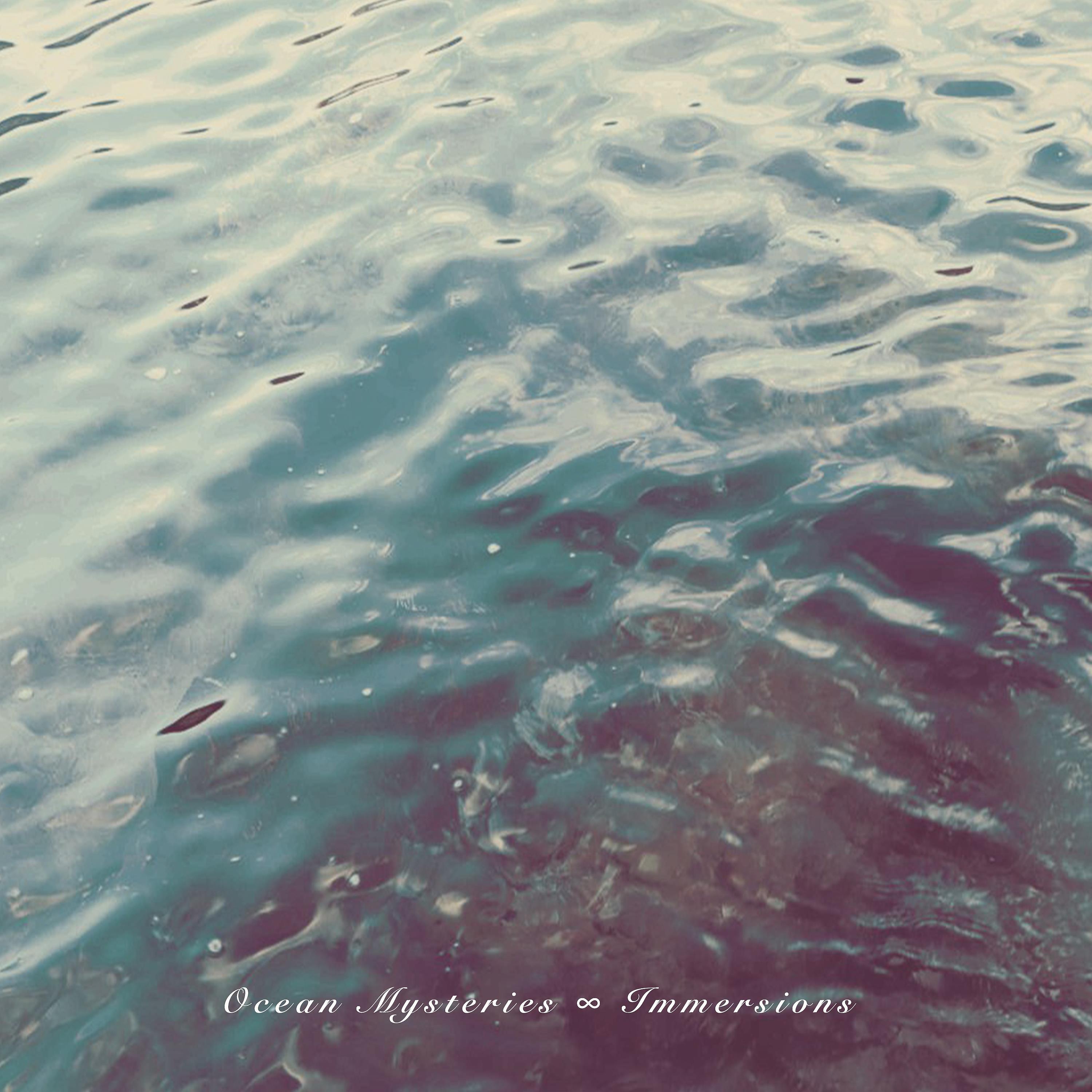Постер альбома Immersions