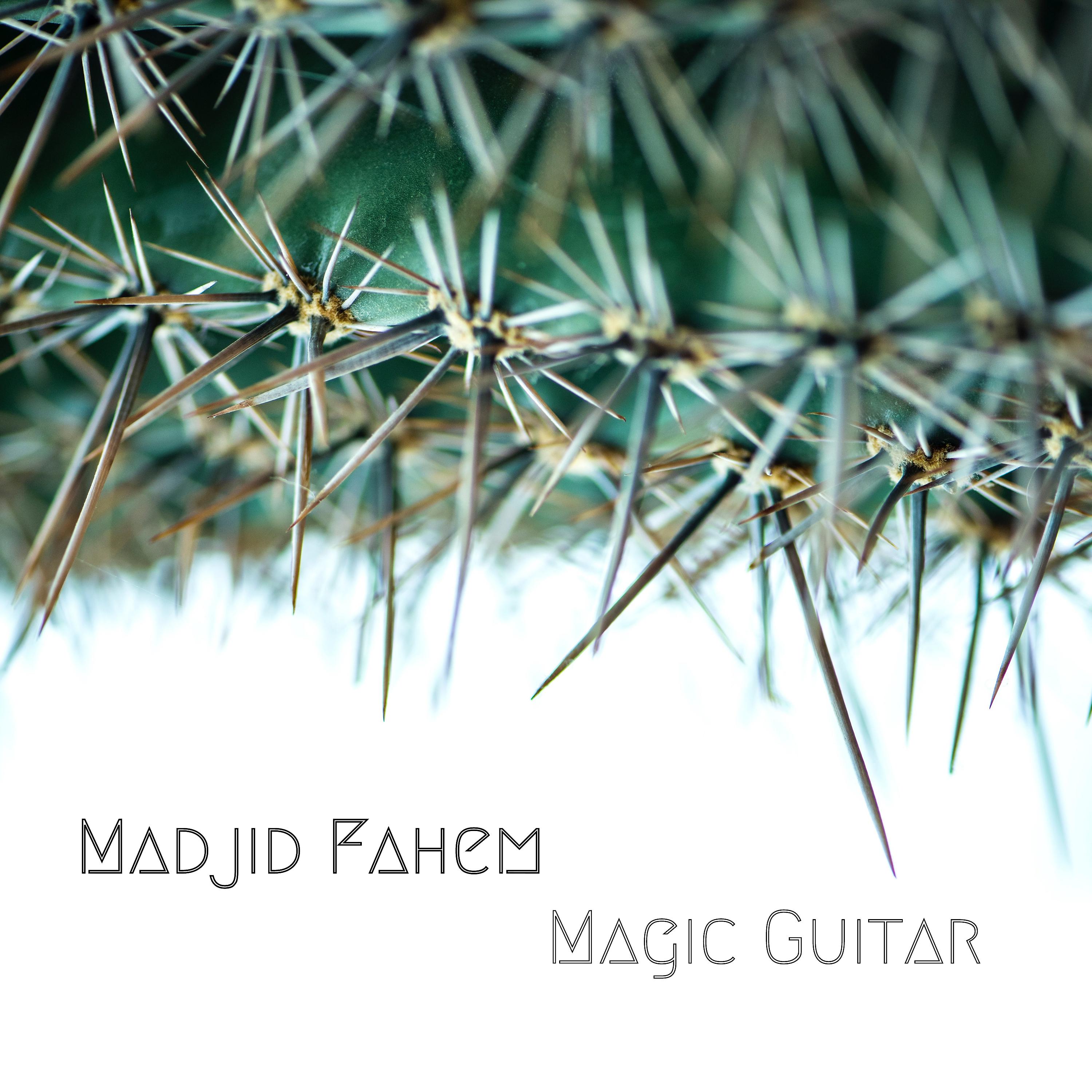 Постер альбома Magic Guitar