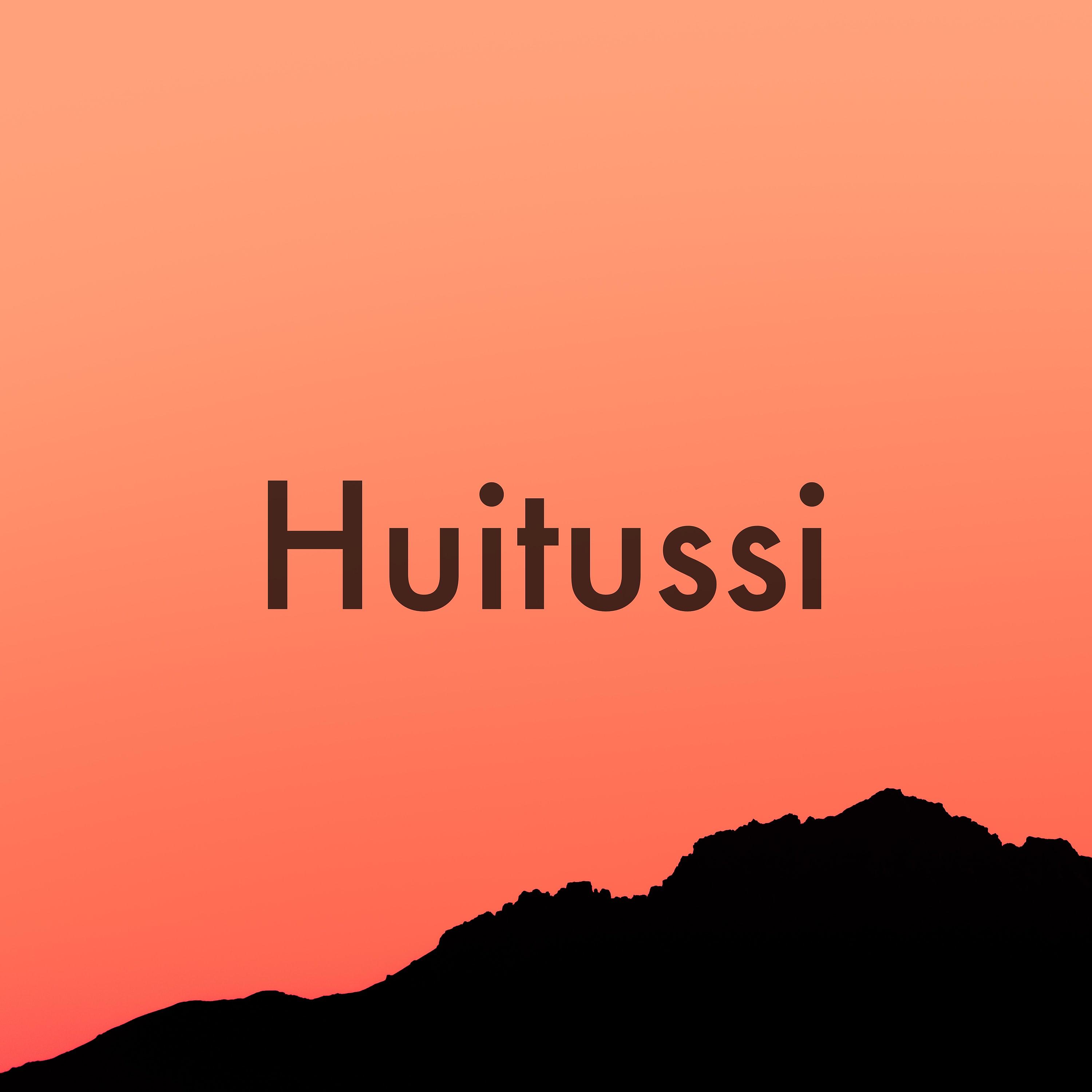 Постер альбома Huitussi