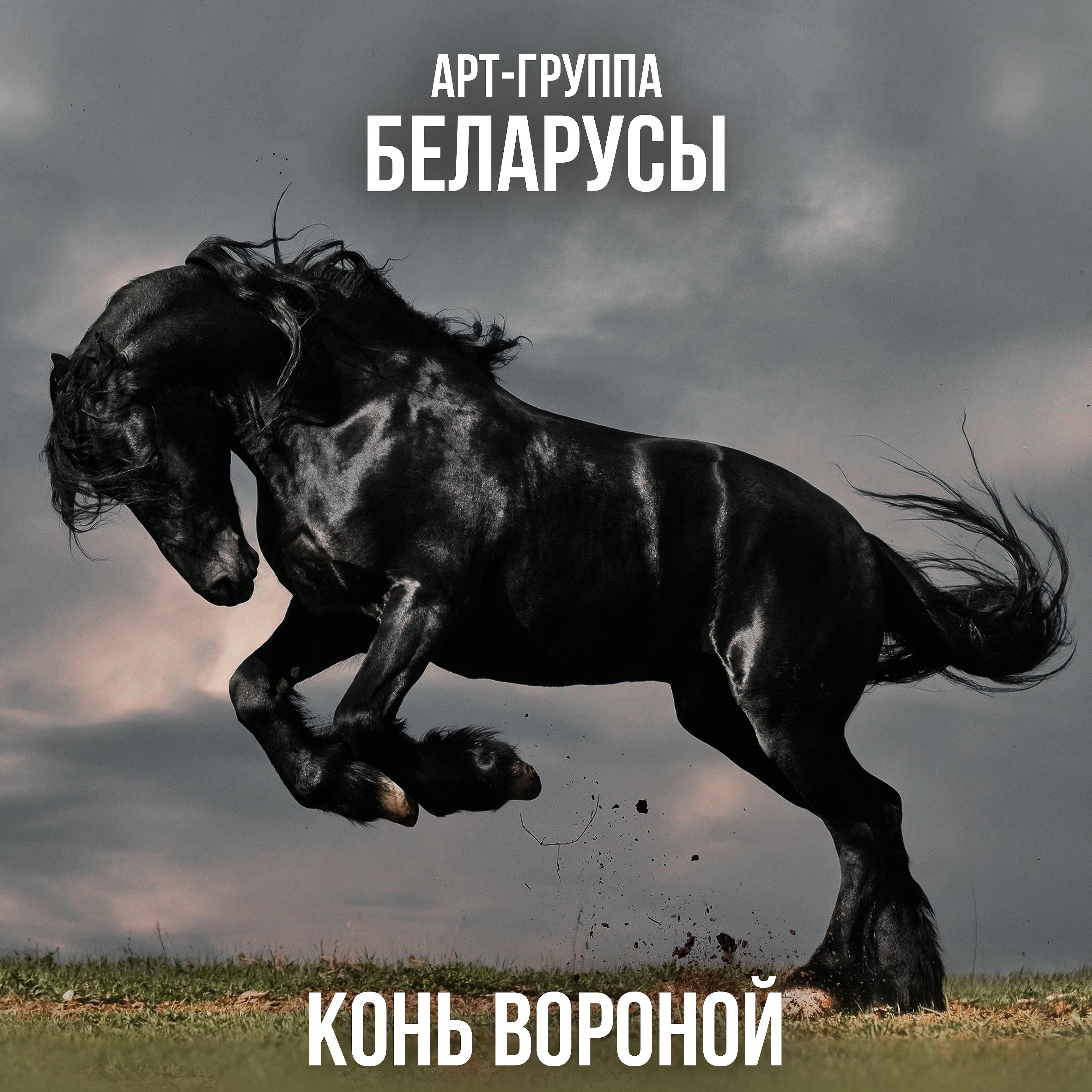 Постер альбома Конь вороной