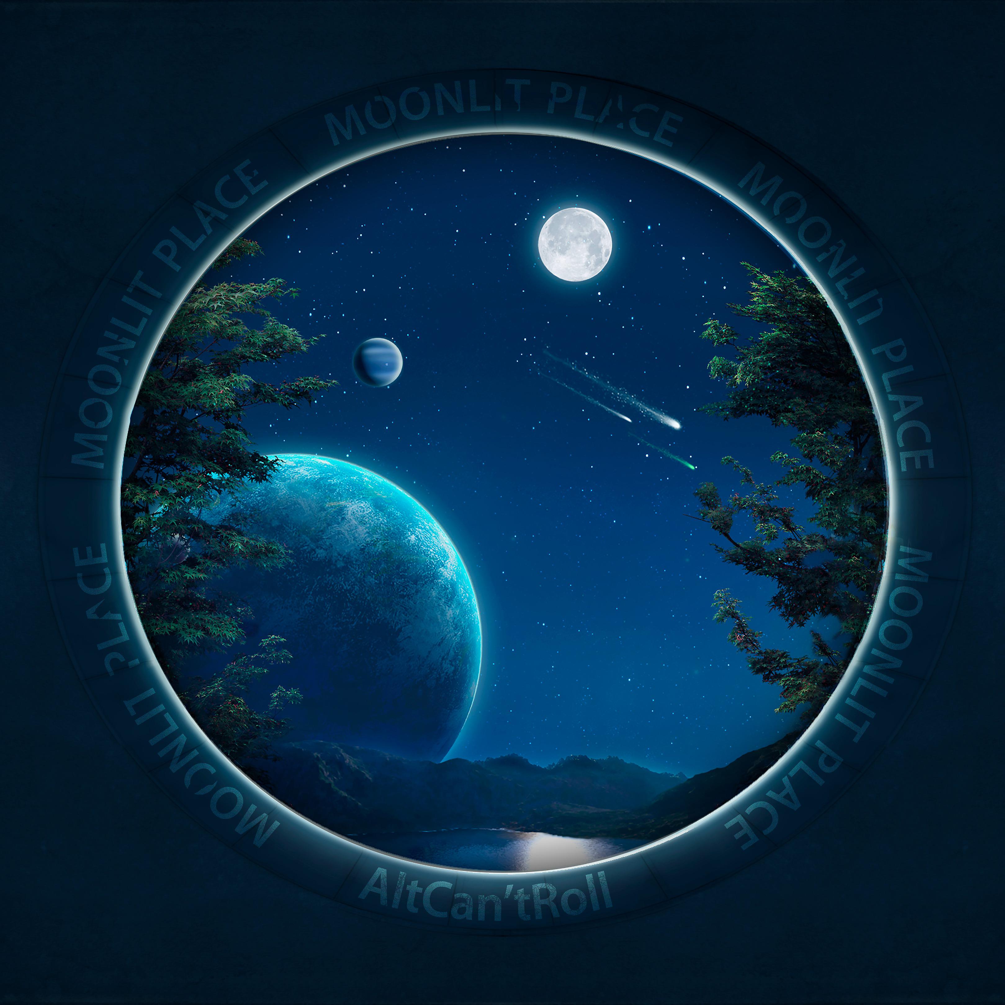 Постер альбома Moonlit Place