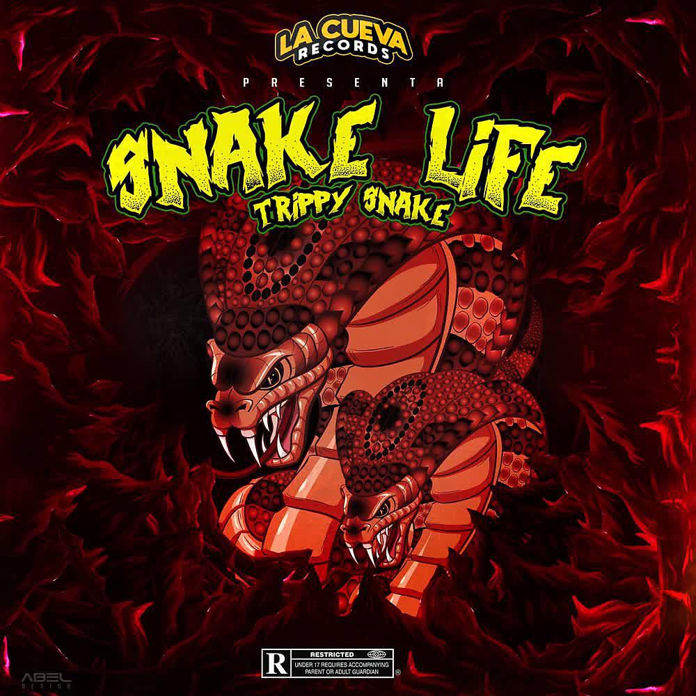 Trippy Snake - Shorty21