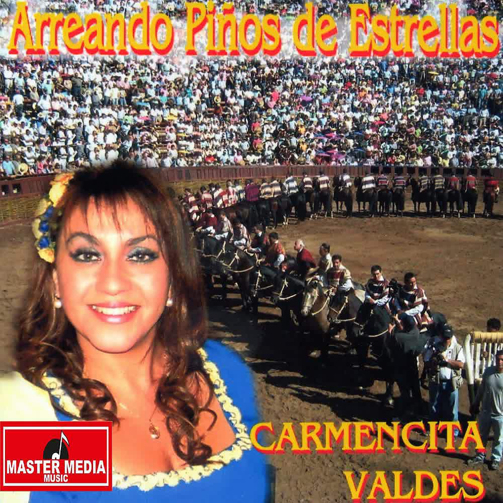 Постер альбома Arreando Piños de Estrellas