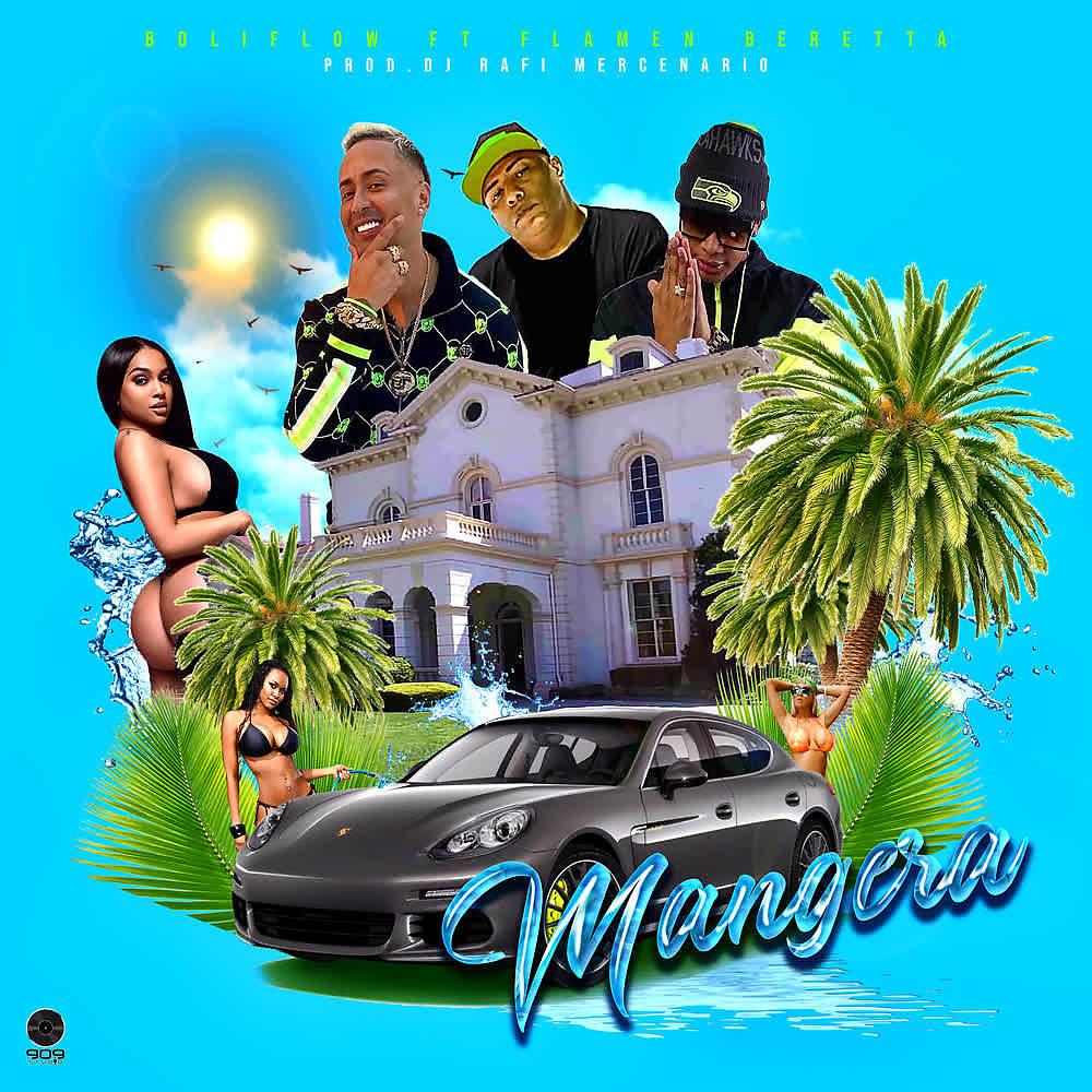 Постер альбома Manguera