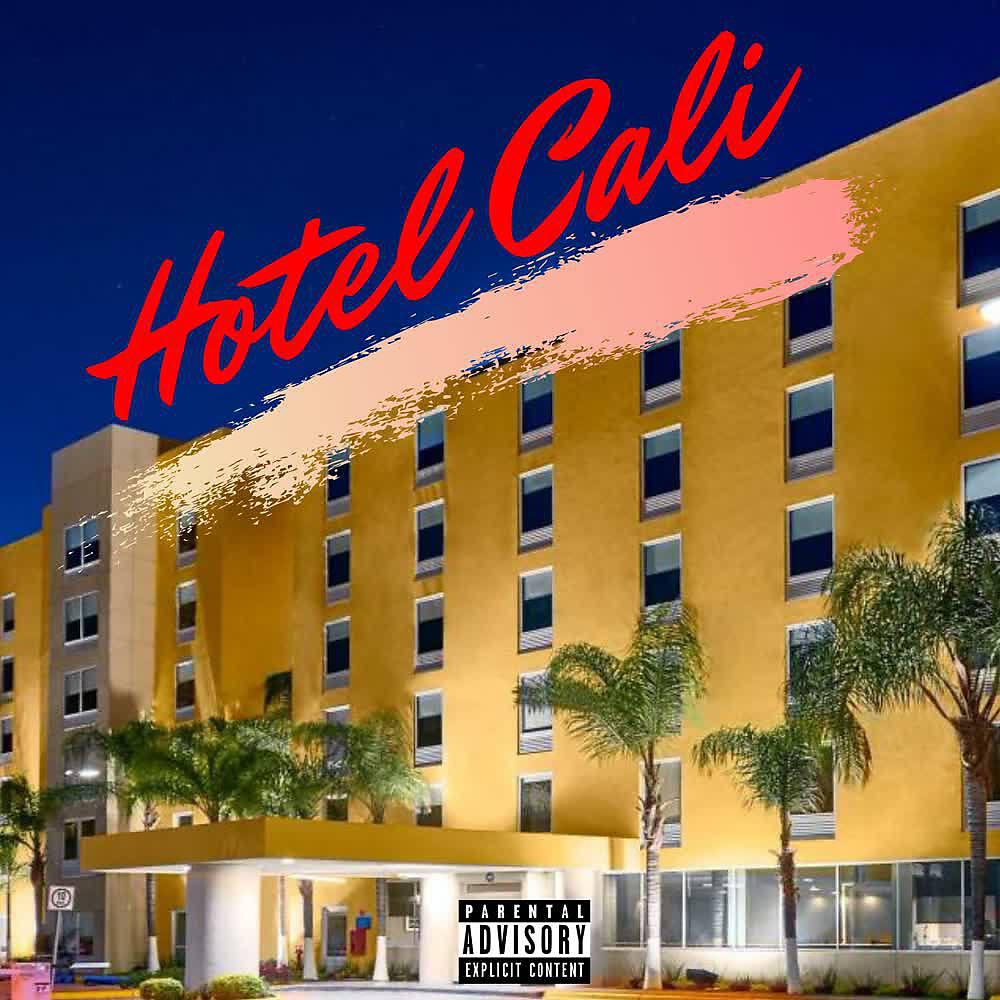 Trippy Snake - Hotel Cali