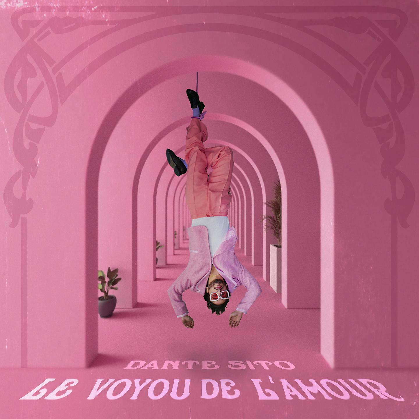 Постер альбома Le voyou de l'amour
