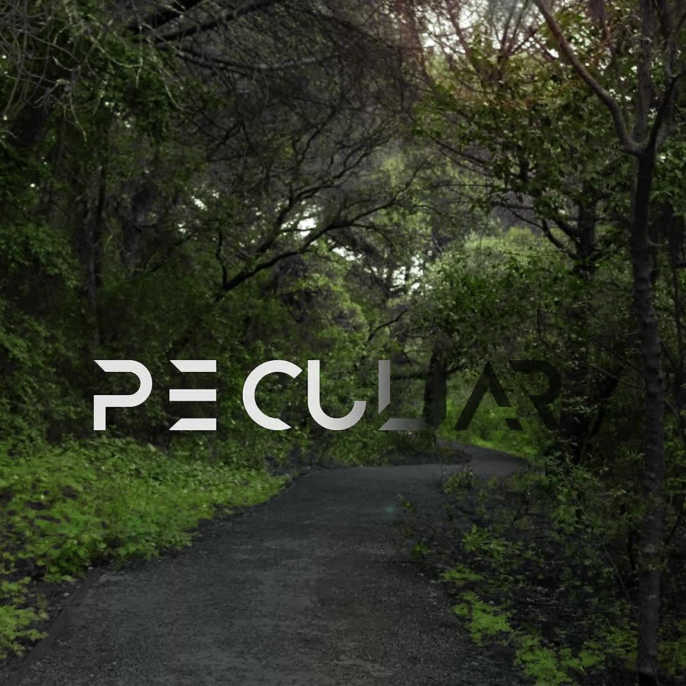 Постер альбома Peculiar (Original Score)