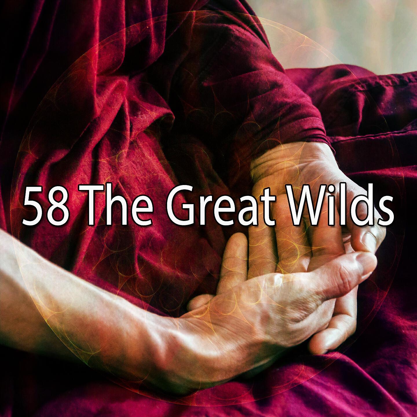 Classical Study Music - Nourishing Yoga Impulse