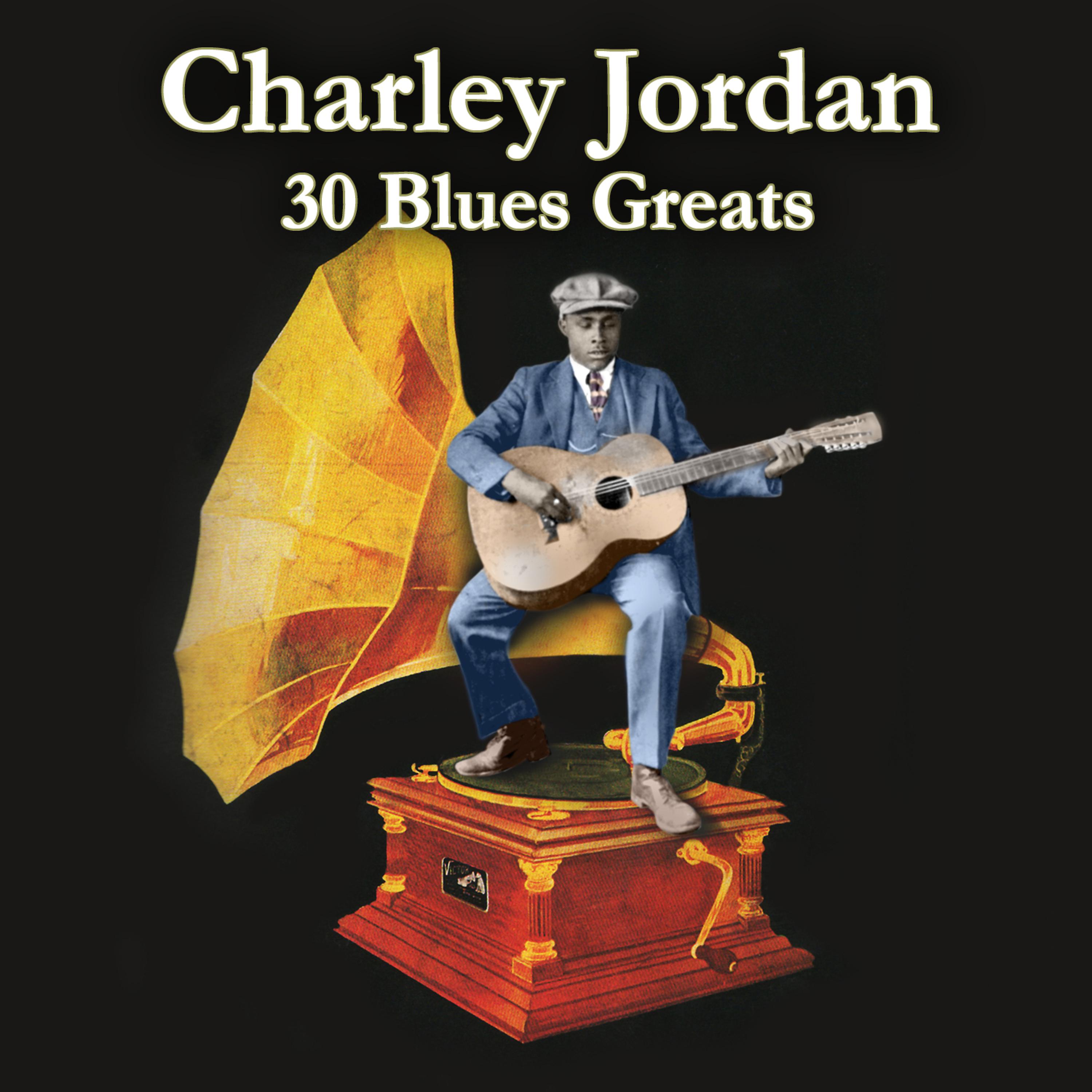 Постер альбома 30 Blues Greats