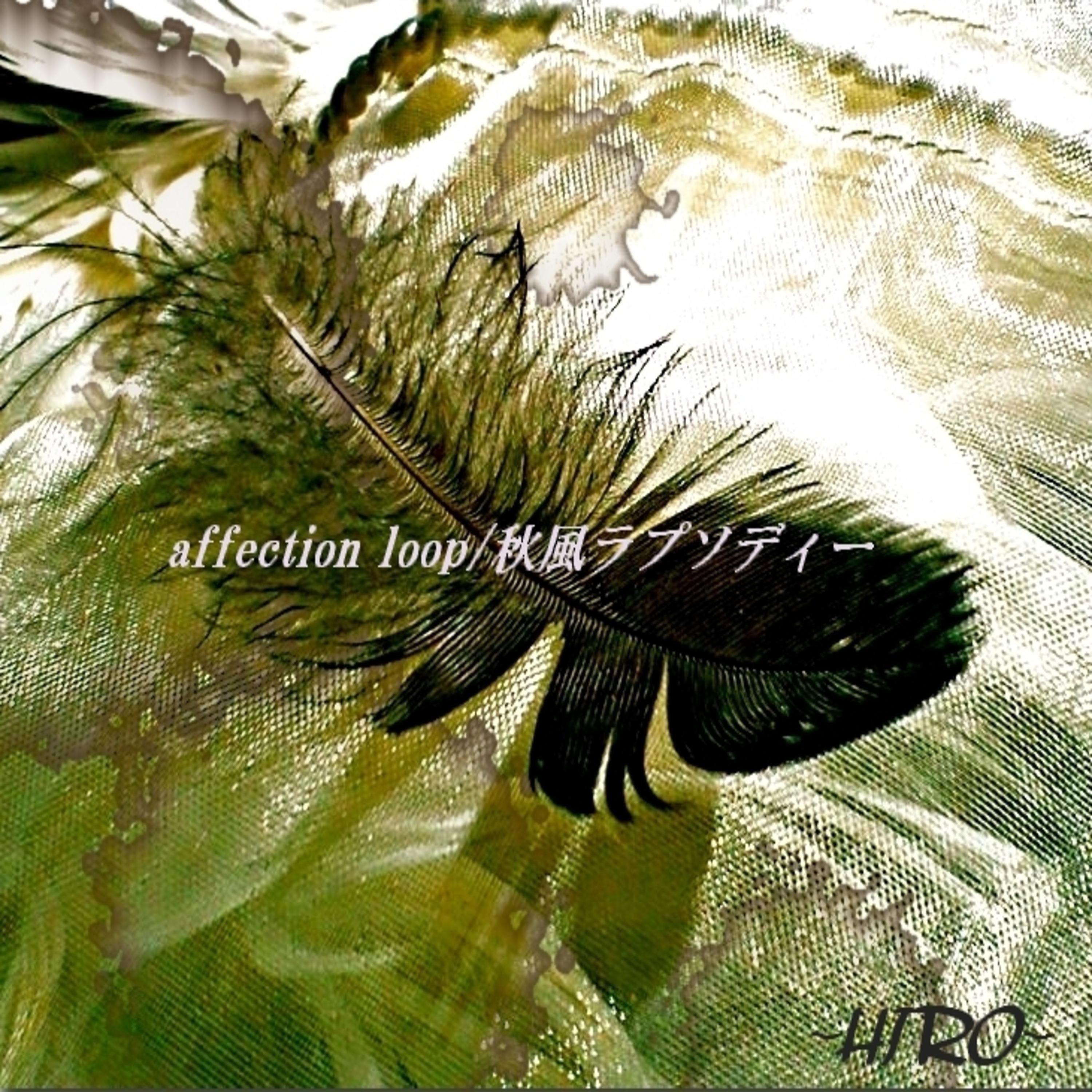 Постер альбома affection loop/akikazerhapsody