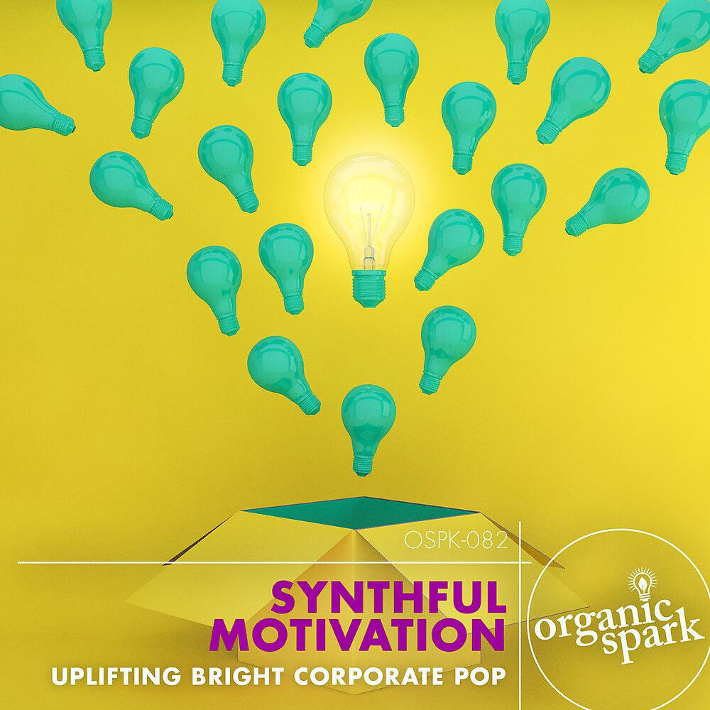 Постер альбома Synthful Motivation