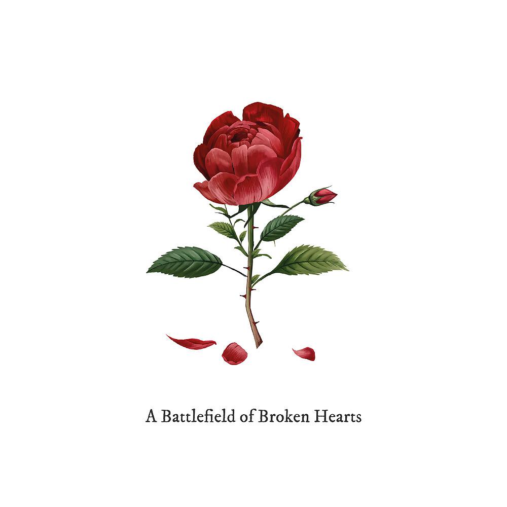 Постер альбома A Battlefield of Broken Hearts