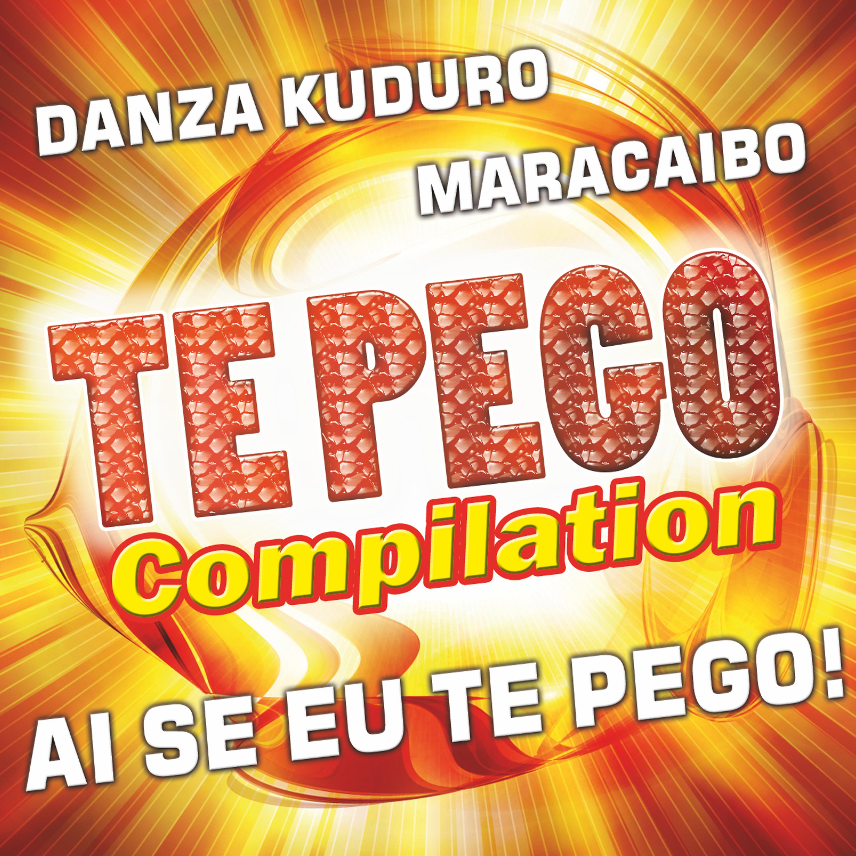 Постер альбома Te Pego Compilation - Afro Latina