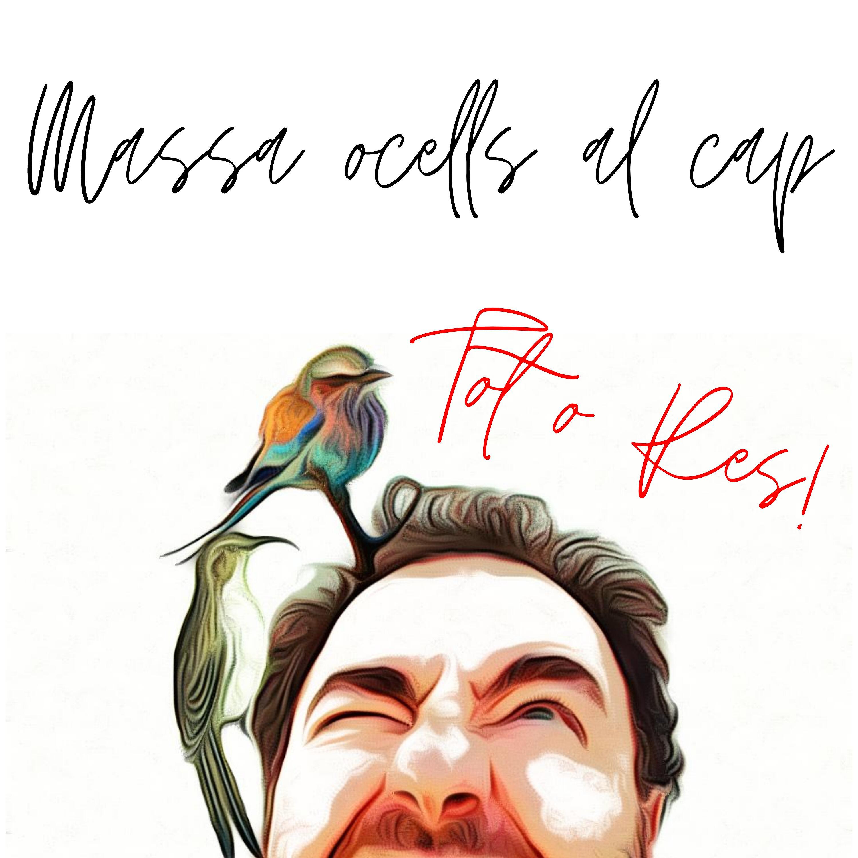 Tot o Res! - Vella Cançó