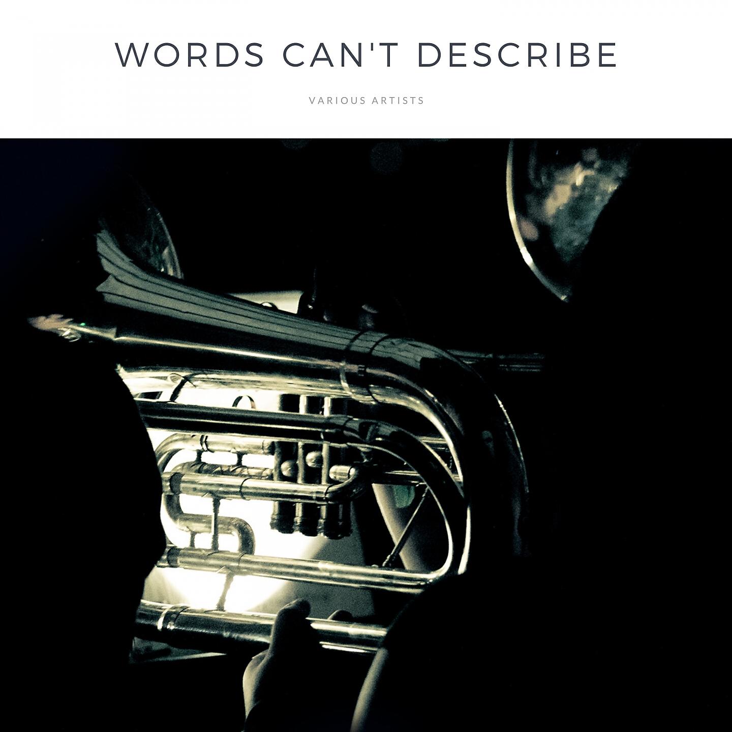 Sarah Vaughan with John Malachi - Polka Dots and Moonbeams