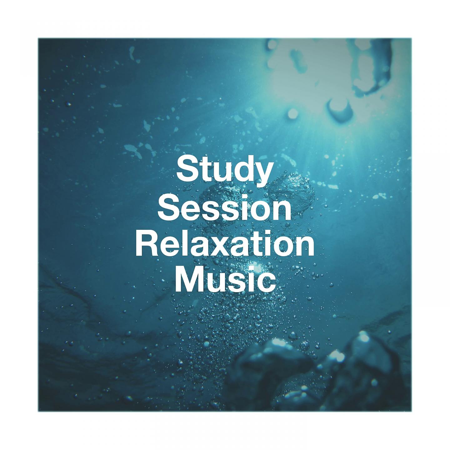 Постер альбома Study Session Relaxation Music