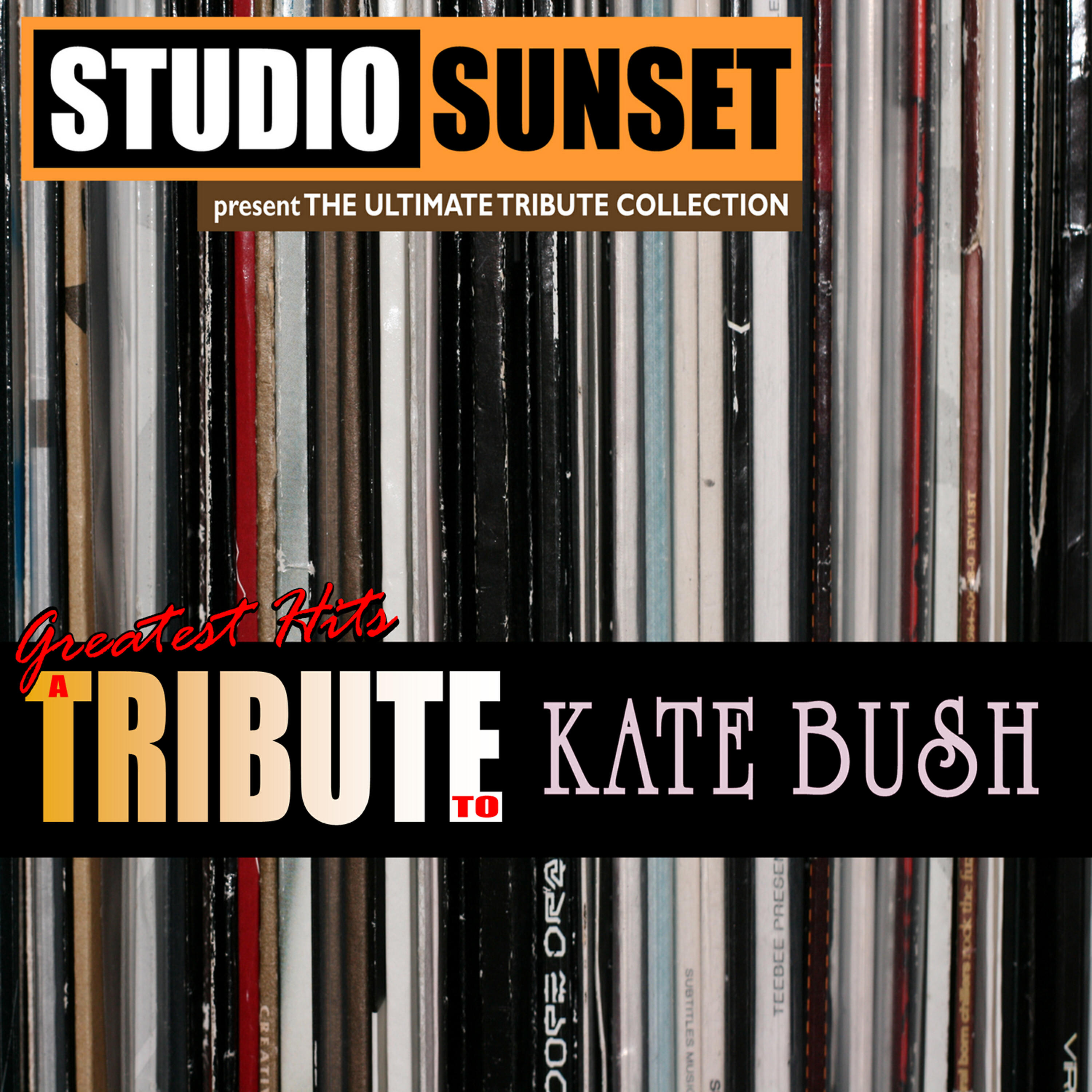Studio Sunset - Mother Stands for Comfort