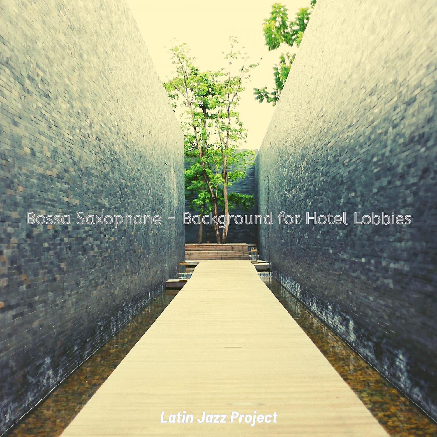 Latin Jazz Project - Exciting Backdrops for Hotel Lobbies