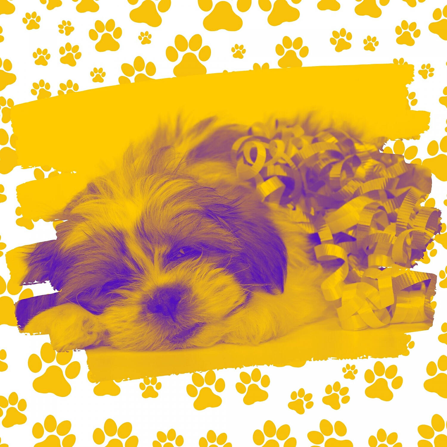 Music for Dogs Playlist - Relaxing Relaxing Your Dog