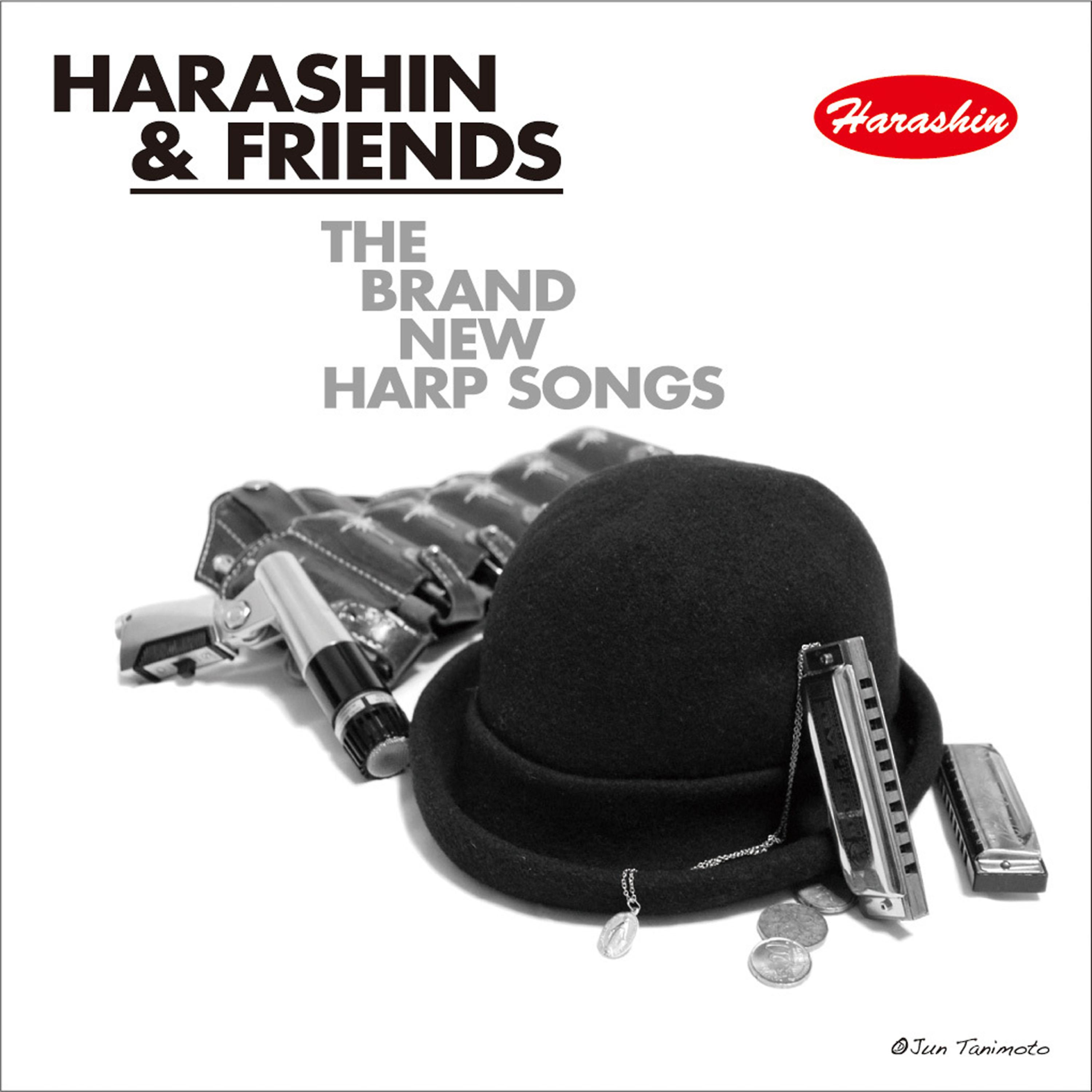 Постер альбома The Brand New Harp Songs