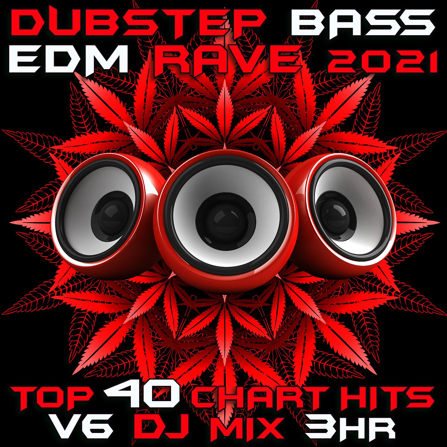 Постер альбома Dubstep Bass EDM Rave 2021 Top 40 Chart Hits, Vol. 6 DJ Mix 3Hr
