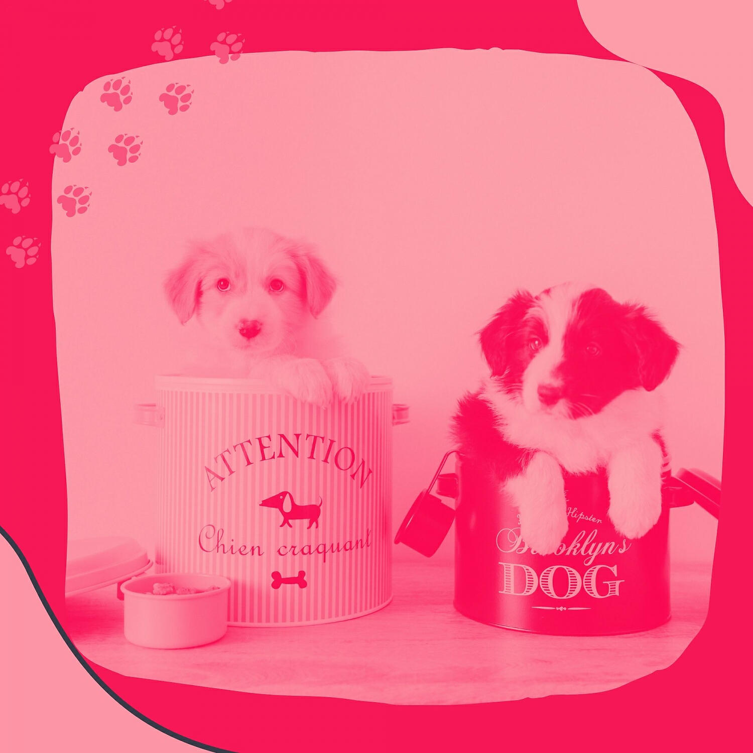 Comfortable Doggy Music - Hypnotic Relaxing Your Dog