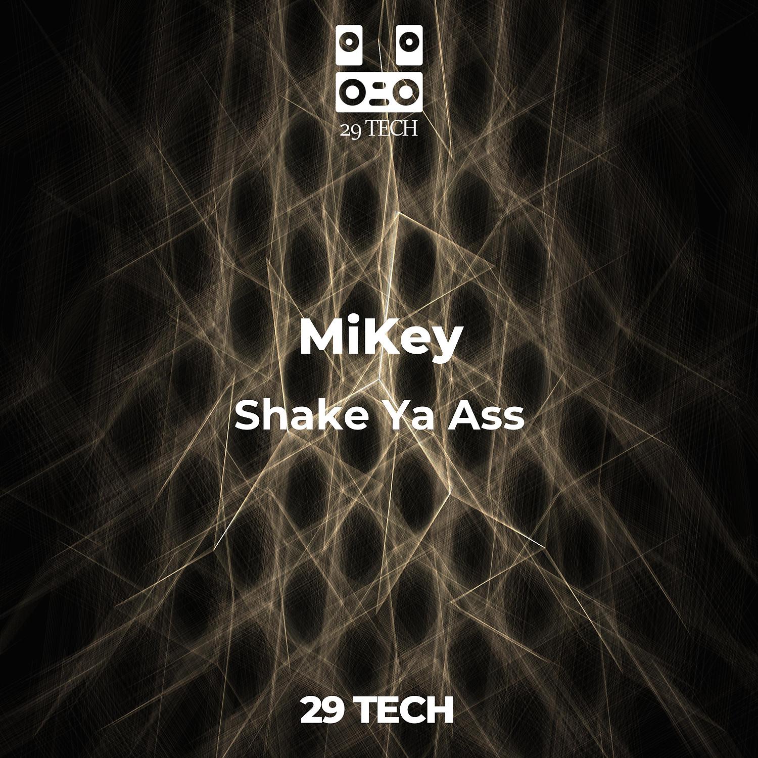 Постер альбома Shake Ya Ass