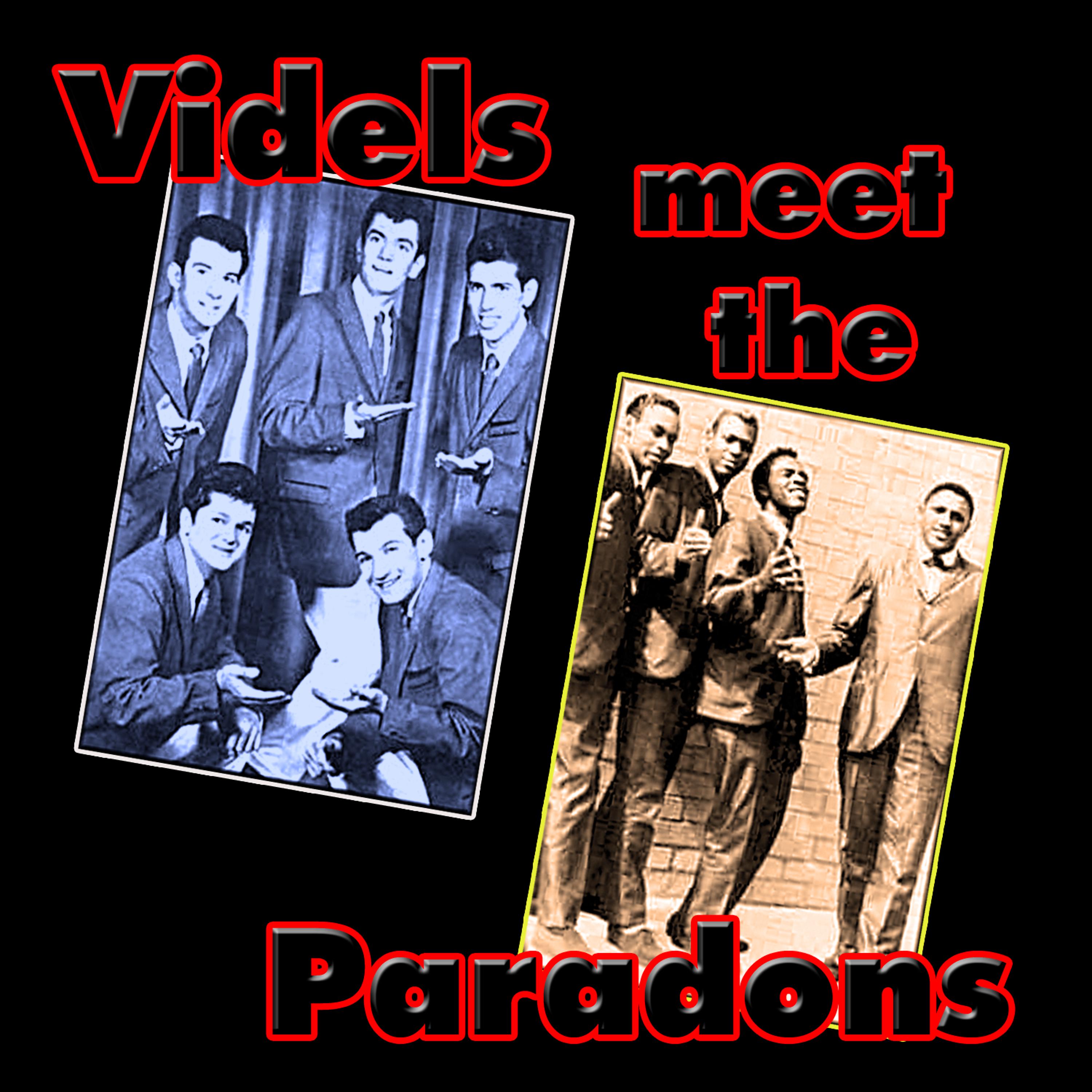 Постер альбома The Videls Meet The Paradons
