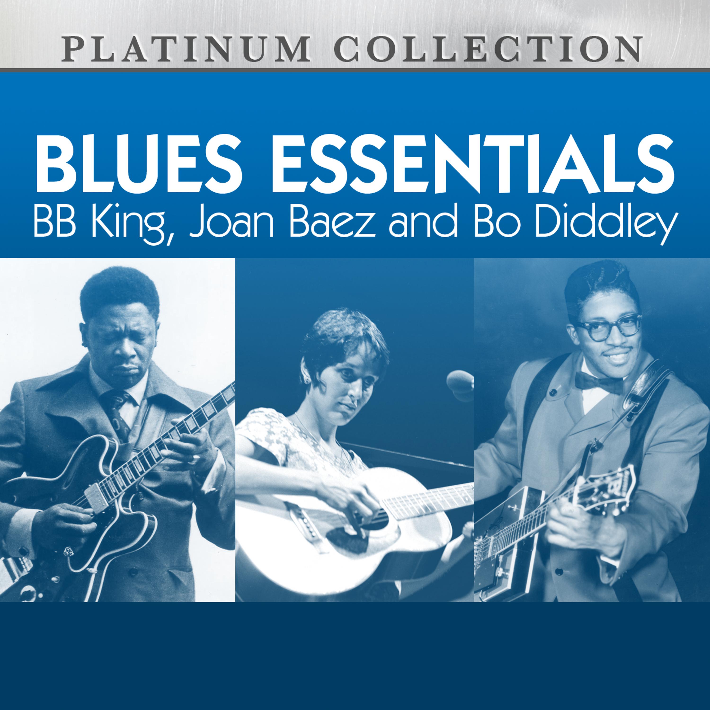 Постер альбома Blues Essentials: B.B. King, Joan Baez and Bo Diddley
