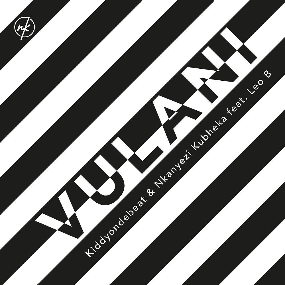 Постер альбома Vulani (Ubumnandi)