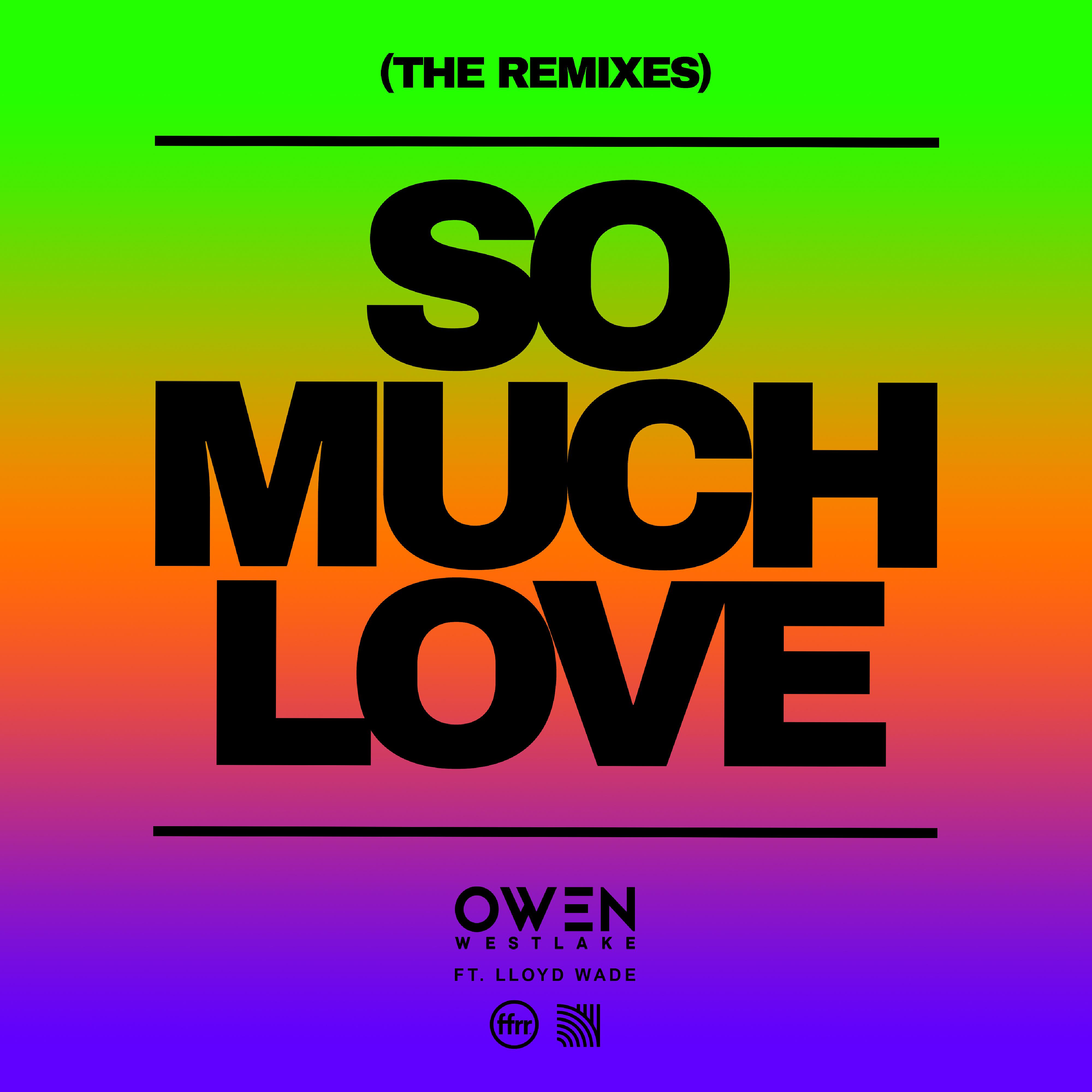 Постер альбома So Much Love (feat. Lloyd Wade) [The Remixes]