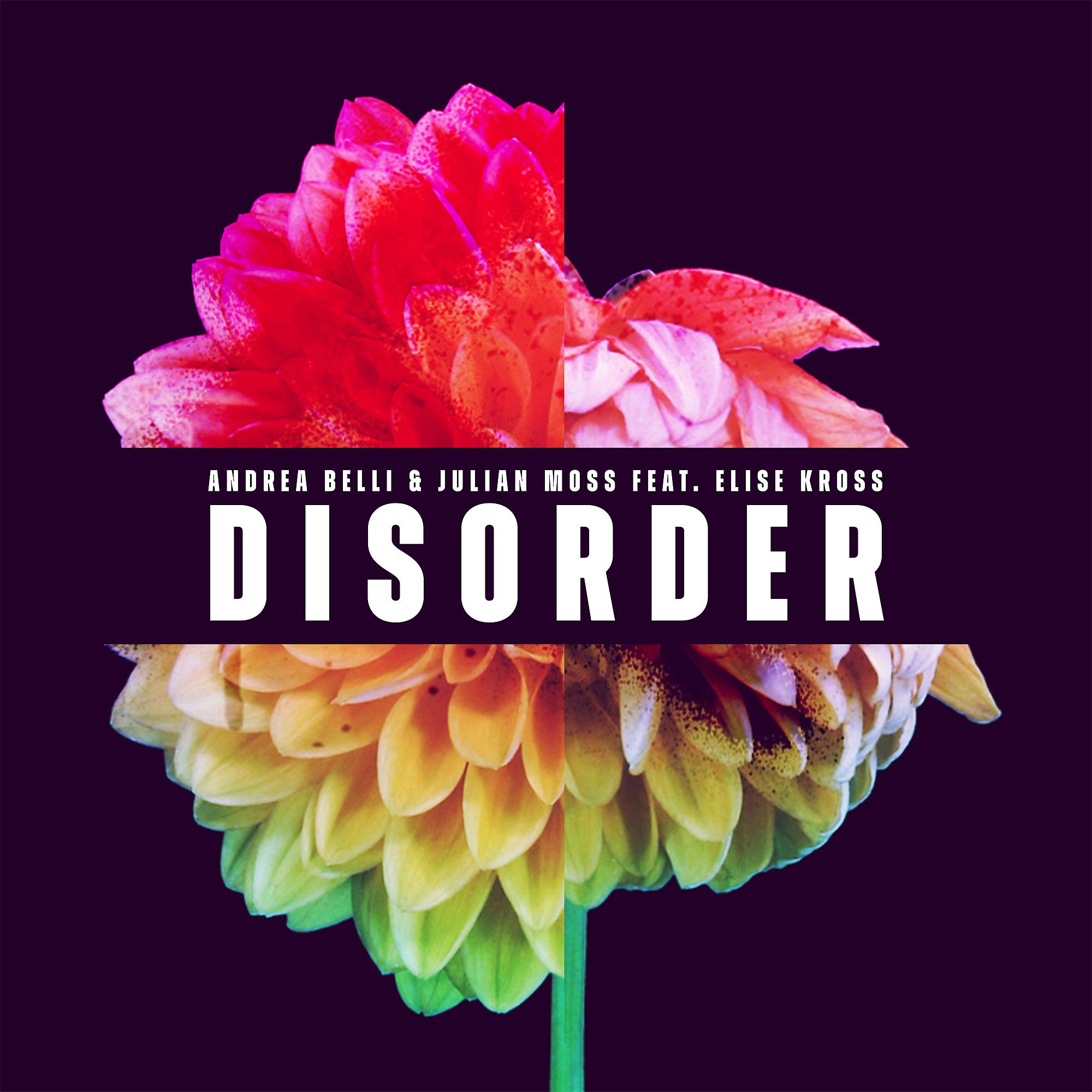 Постер альбома Disorder (feat. Elise Kross)