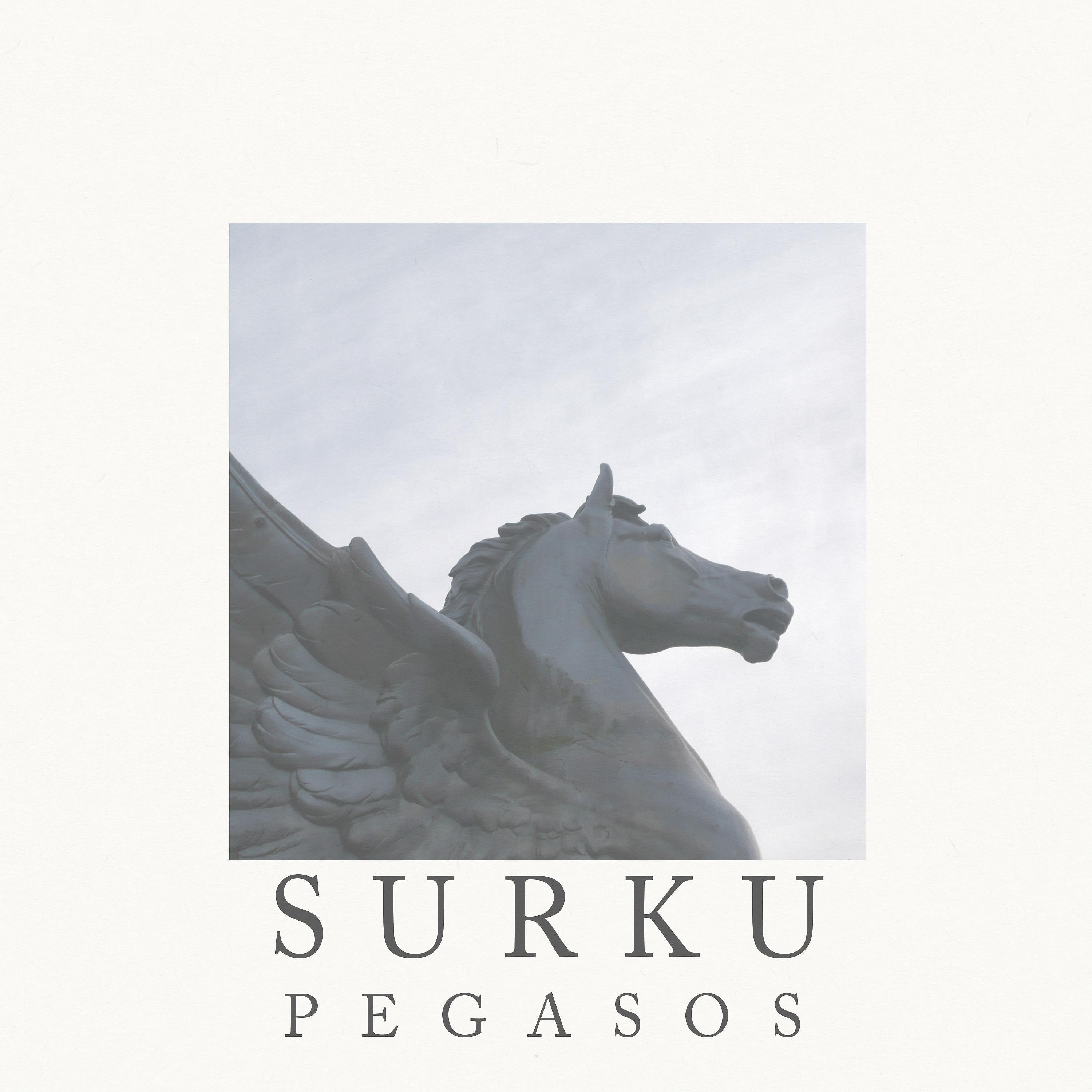 Постер альбома Pegasos