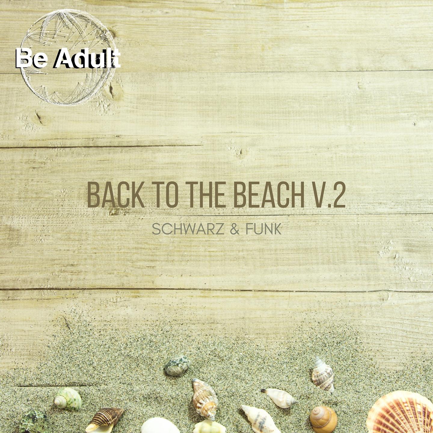 Постер альбома Back to the Beach, Vol. 2