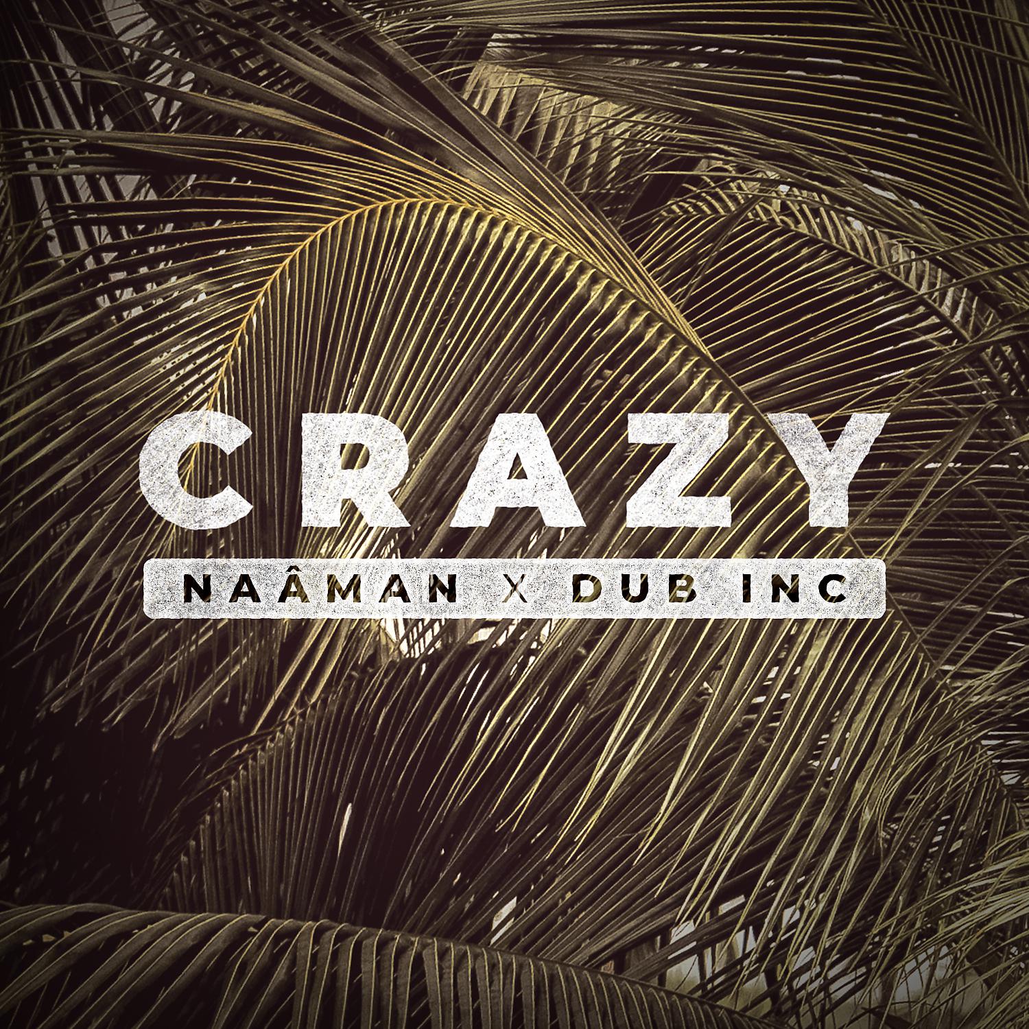 Постер альбома Crazy (feat. Dub Inc)