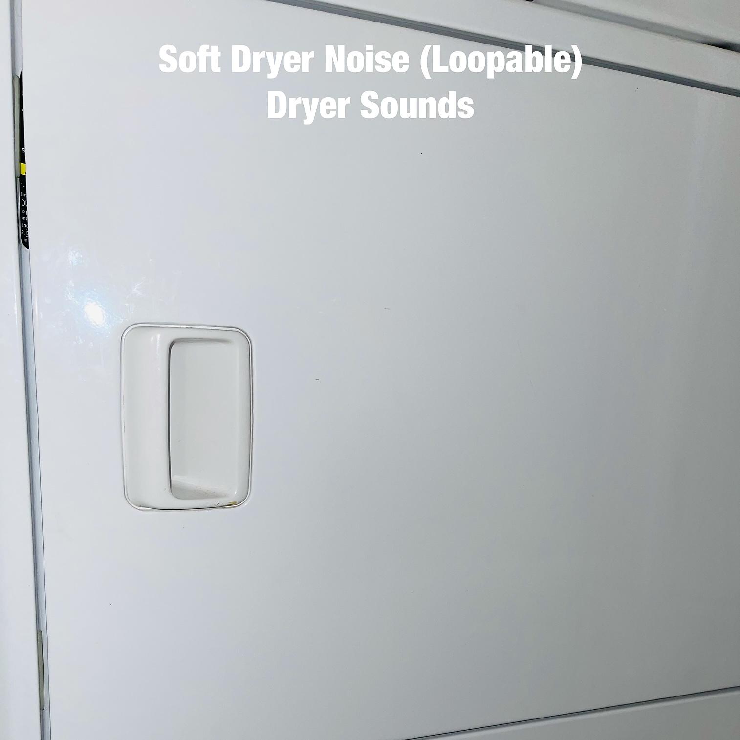 Постер альбома Soft Dryer Noise