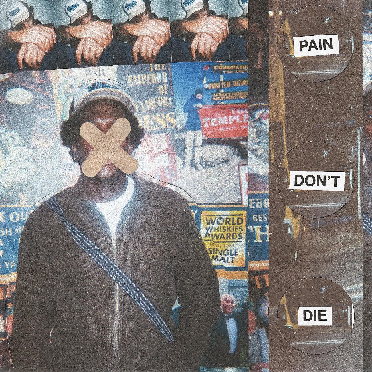 Постер альбома Pain Don't Die