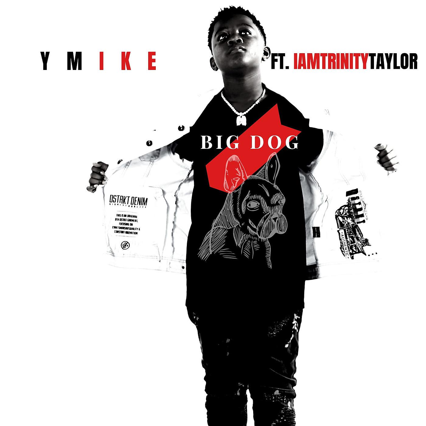 Постер альбома Big Dog