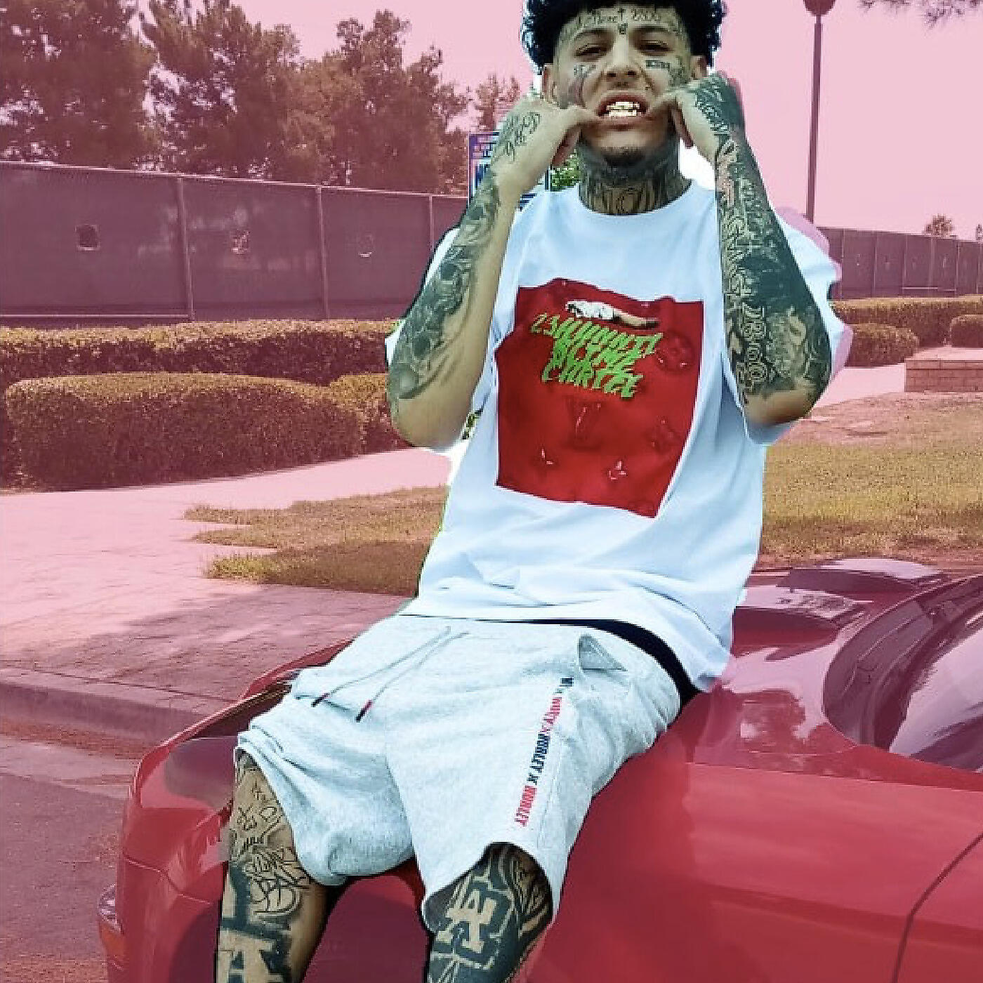 RICHHOMIE RUGER - 2 Pistols