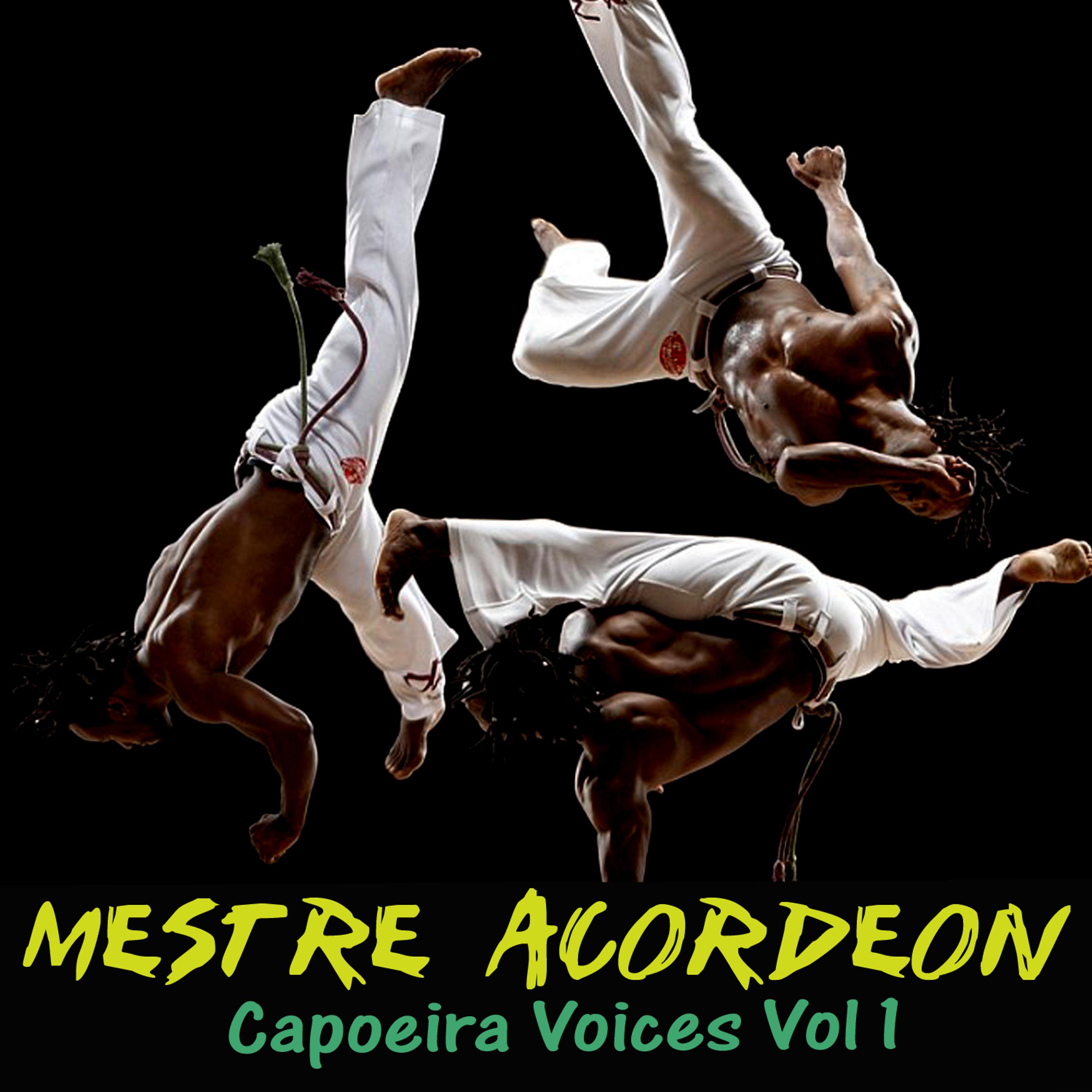 Постер альбома Capoeira Voices Vol 1