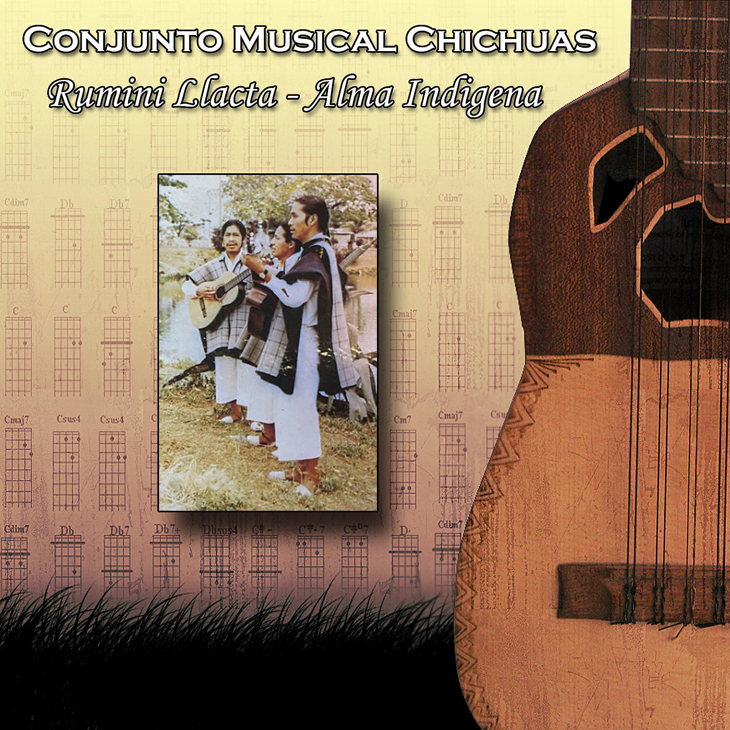 Conjunto Musical Chichuas - Arpita de Mis Canciones