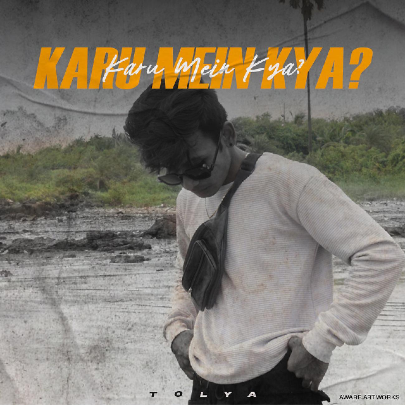 Постер альбома Karu Mein Kya