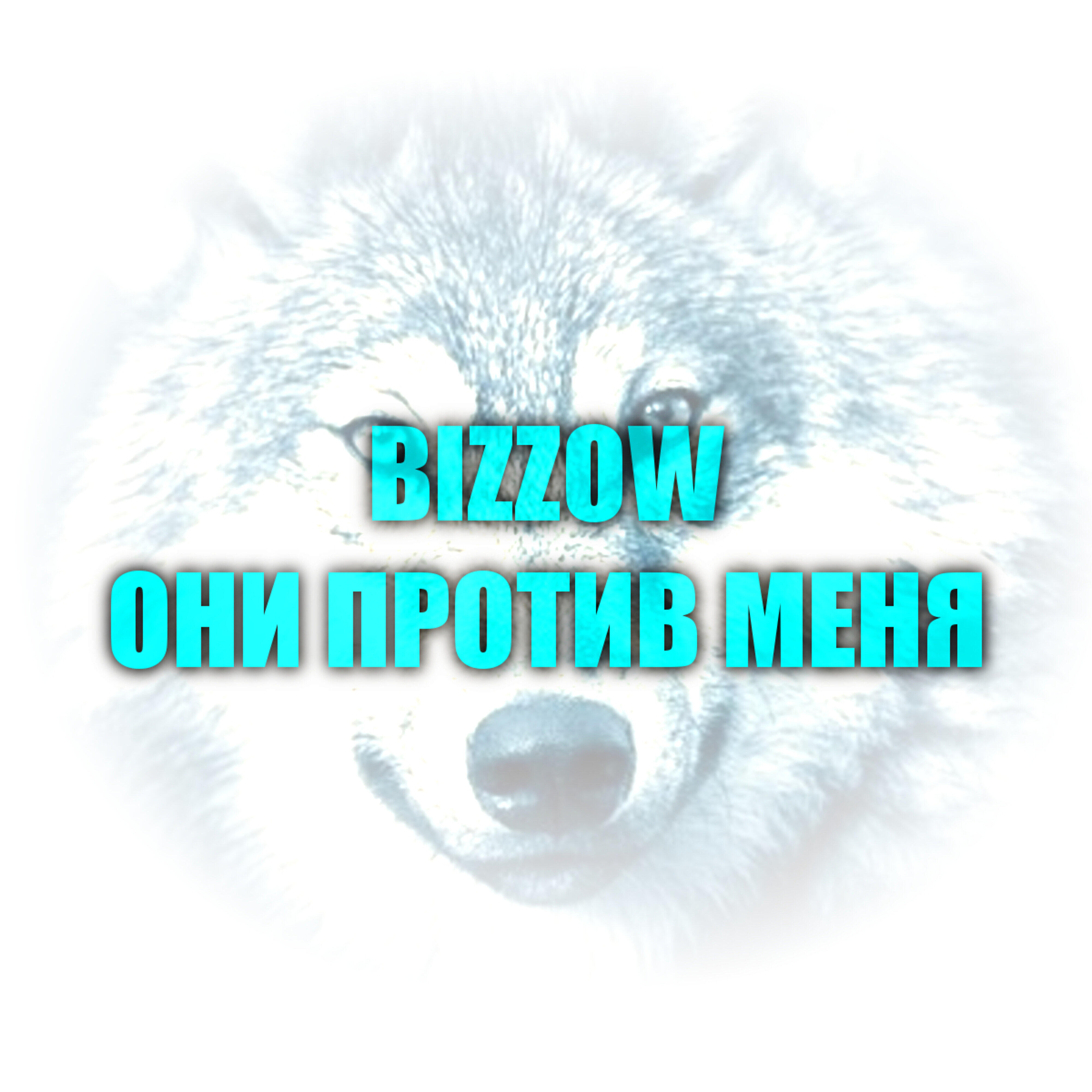 BIZZOW - Они против меня