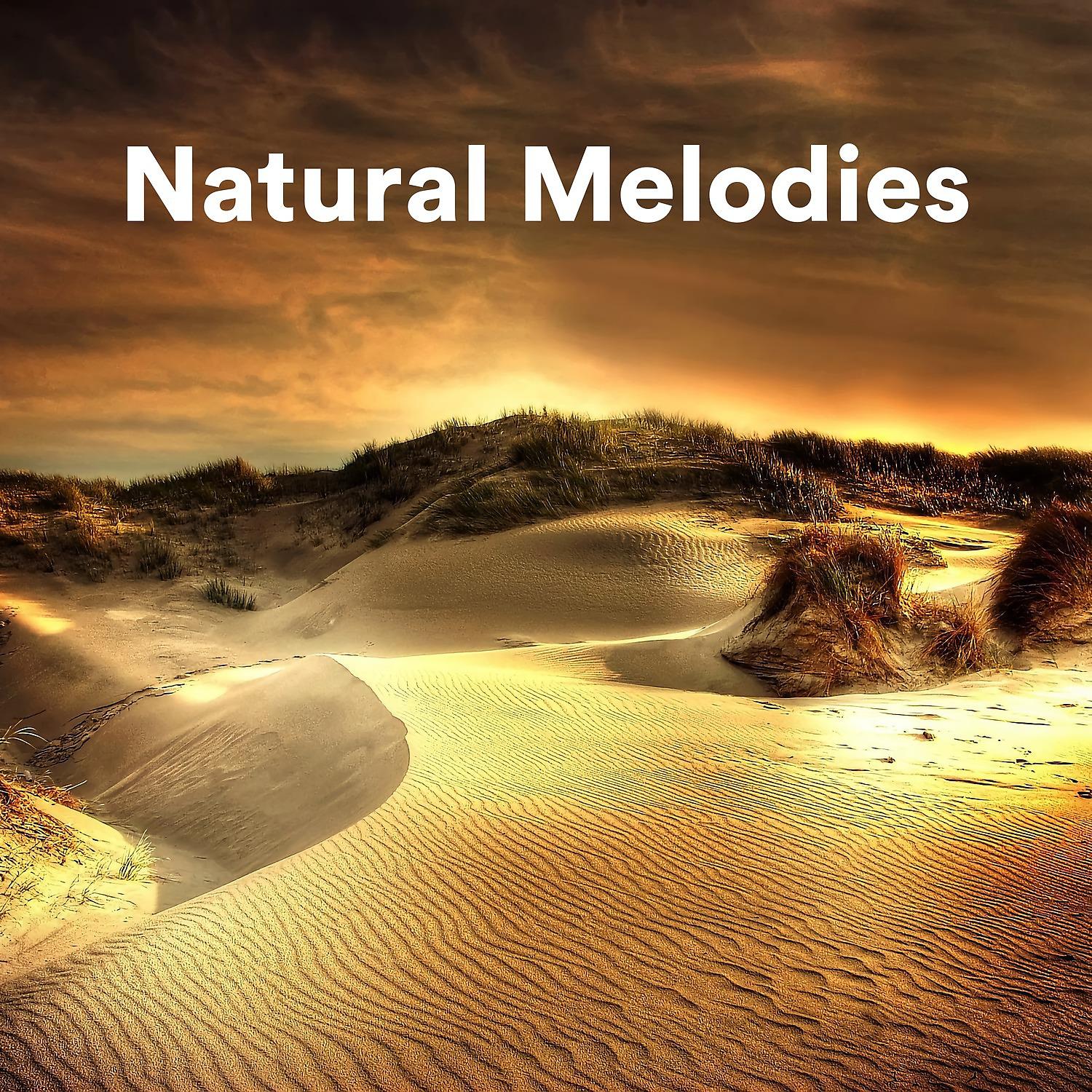 Постер альбома Natural Melodies