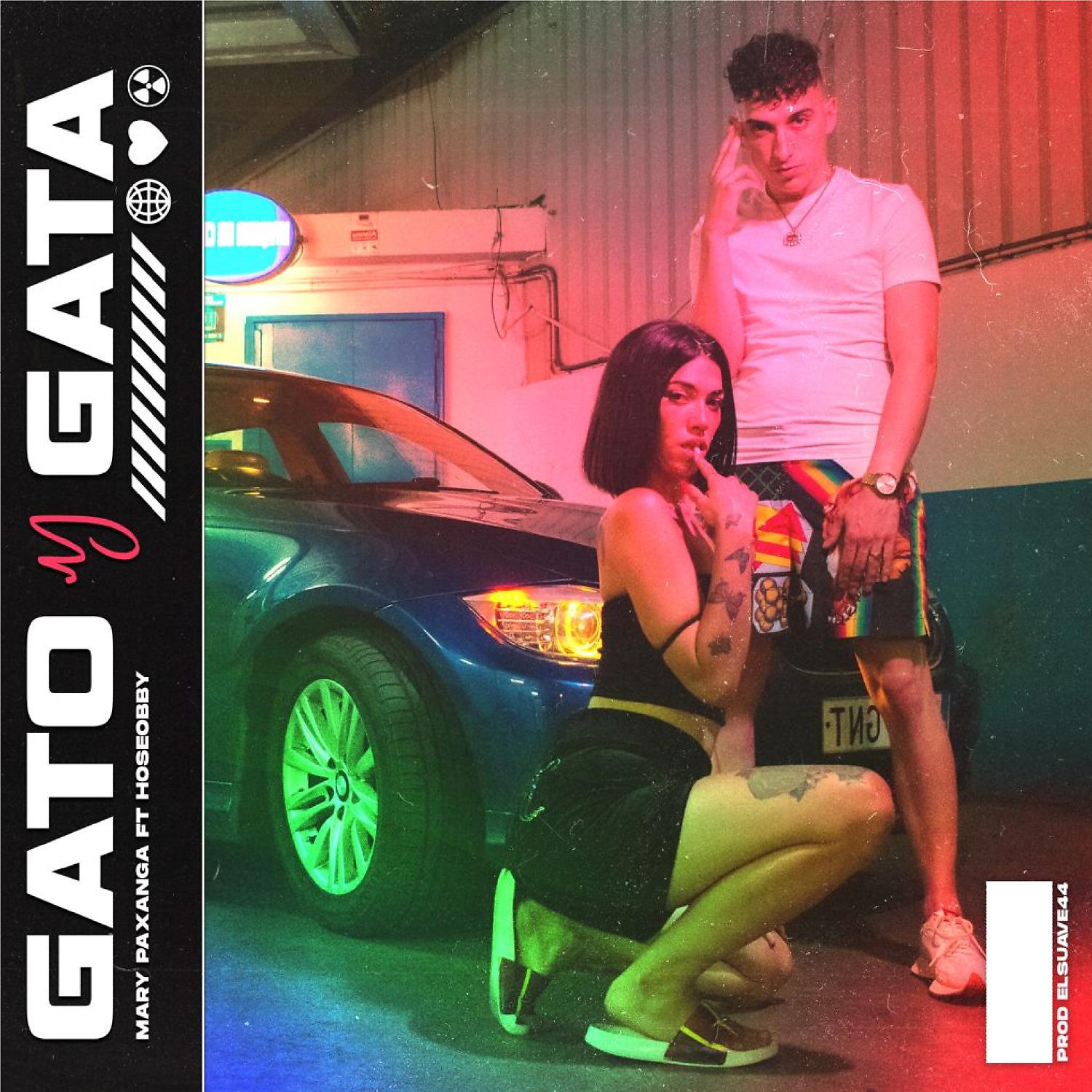Постер альбома Gato y gata